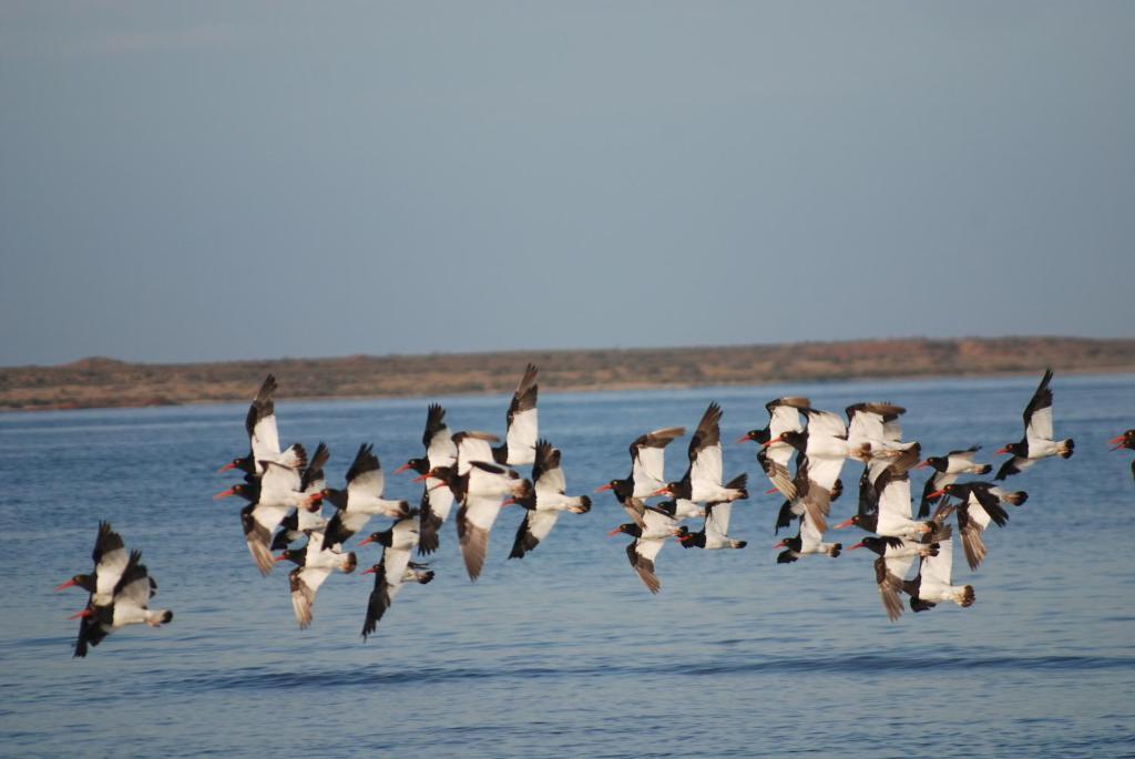 Bahia Bustamante Lodge Eksteriør bilde